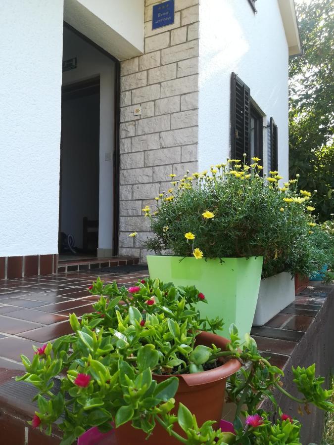 Apartments Eliva Umag Exterior foto